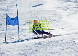 中国体彩网_BR模拟交易方案引爆篮球圈，拉梅洛·鲍尔转战华盛顿，夏洛特收获麦科勒姆与选秀资源