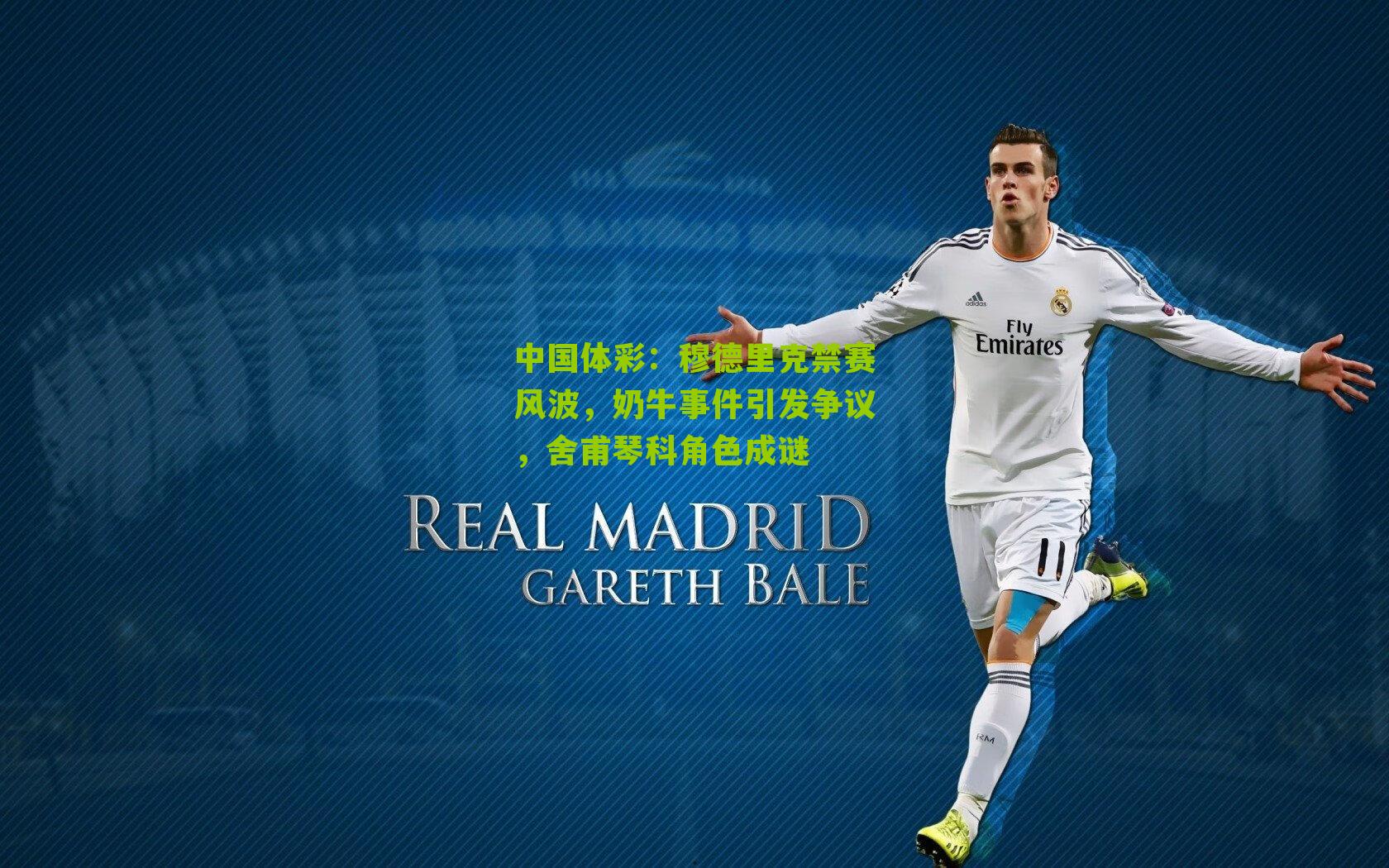 穆德里克禁赛风波，奶牛事件引发争议，舍甫琴科角色成谜