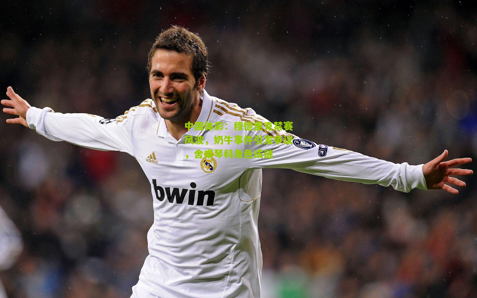 穆德里克禁赛风波，奶牛事件引发争议，舍甫琴科角色成谜